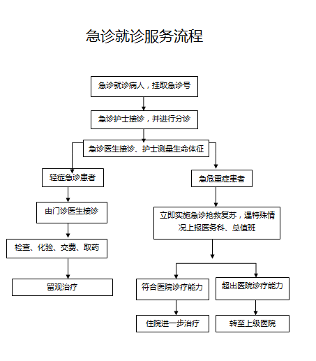 就诊指南